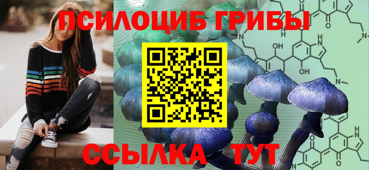 Наро-Фоминск  магазин    Вход с VPN  Галлюциногенные грибы MAGIC MUSHROOMS  Галлюциногенные грибы MAGIC MUSHROOMS 