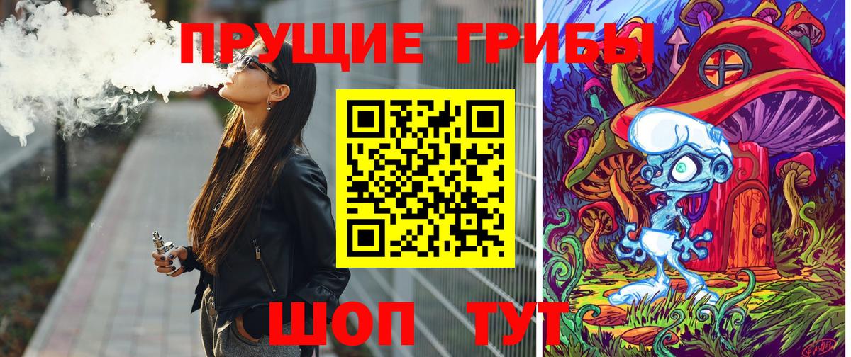 Псилоцибиновые грибы мицелий Наро-Фоминск
